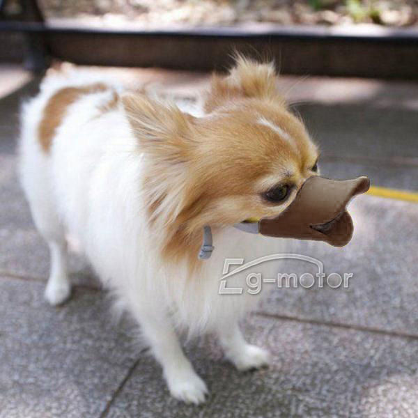 silicone puppies ebay new soft cozy silicone duckbill adjustable cage muzzle for puppy ebay silicone puppies ebay new soft cozy silicone duckbill adjustable cage muzzle for puppy ebay