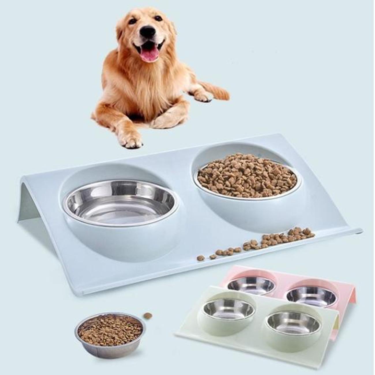 puppy food dish